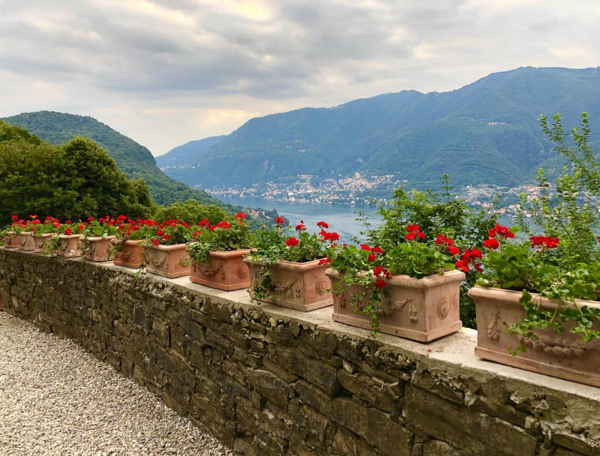 B&B Villa Le Ortensie Faggeto Lario Exteriör bild