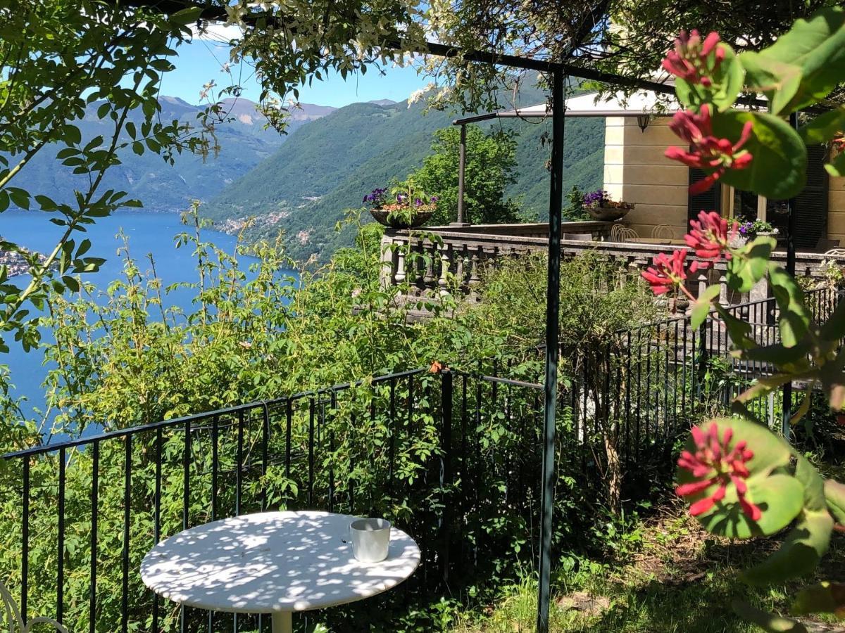 B&B Villa Le Ortensie Faggeto Lario Exteriör bild