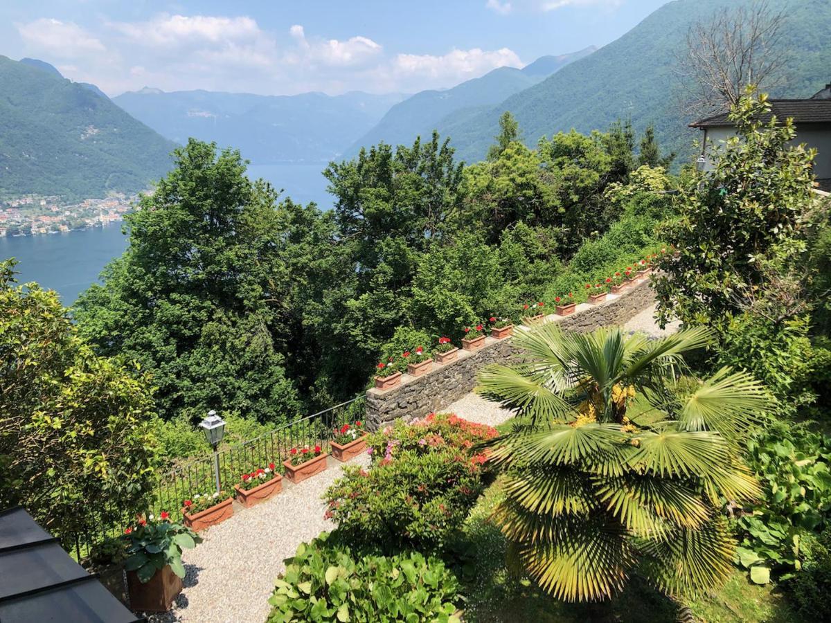 B&B Villa Le Ortensie Faggeto Lario Exteriör bild