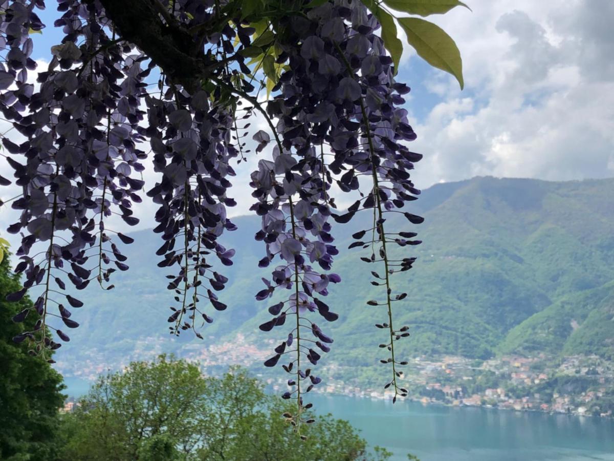 B&B Villa Le Ortensie Faggeto Lario Exteriör bild