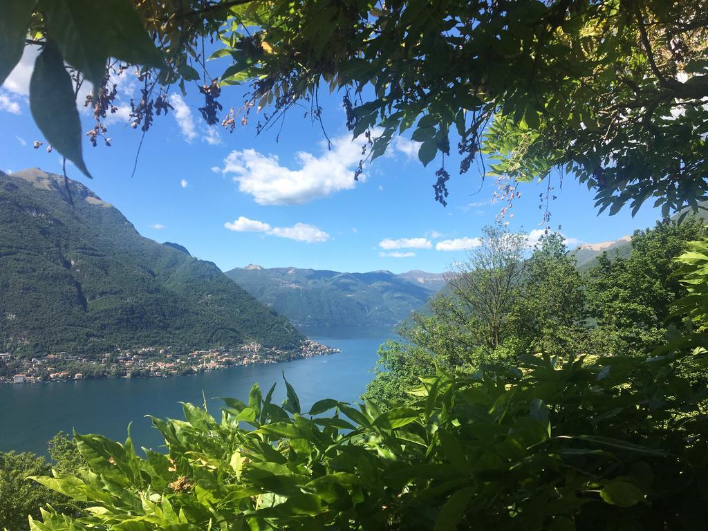 B&B Villa Le Ortensie Faggeto Lario Exteriör bild